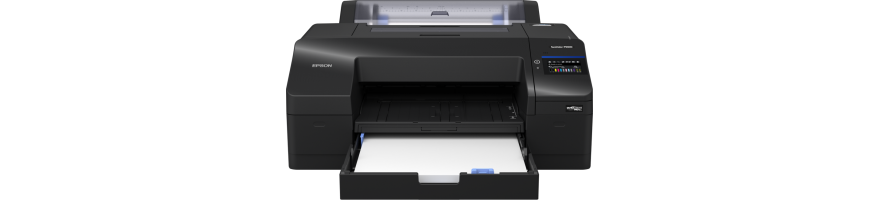 Epson SC-P5300 17” Printer