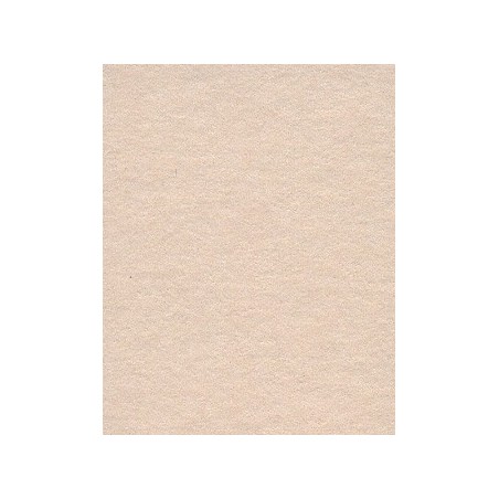 Seamless Oyster - 2.72m x 11m roll (8'11" x 36ft)