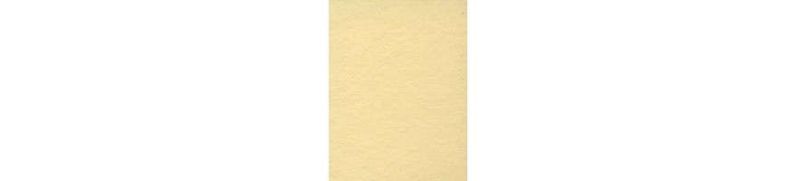 Seamless Champagne - 2.72m x 11m roll (8'11" x 36ft)