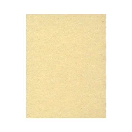 Seamless Champagne - 2.72m x 11m roll (8'11" x 36ft)