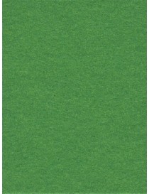 Seamless Chromagreen - 2.72m x 11m roll (8'11" x 36ft)