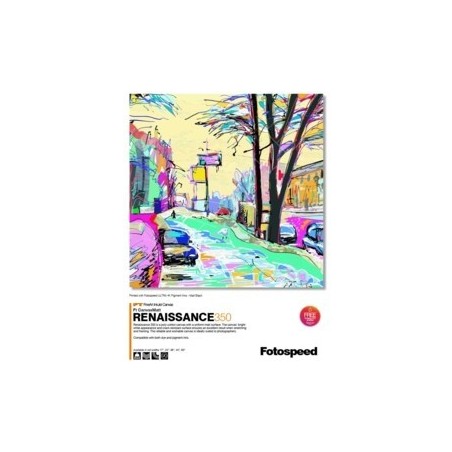 Fotospeed Canvas Matt Renaissance 350