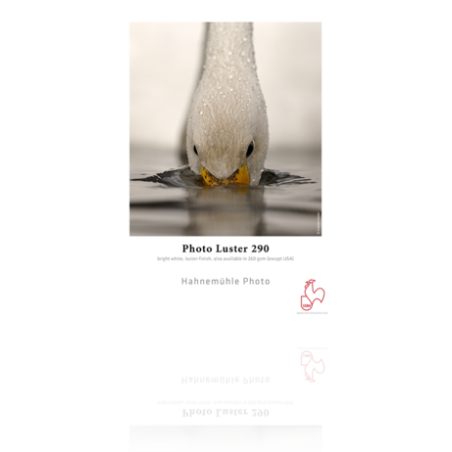 Hahnemühle Photo Luster 260