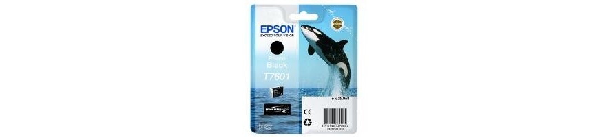 Epson Surecolor P-600 - LIGHT BLACK