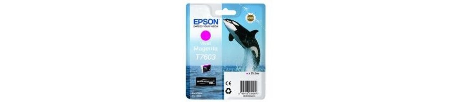 Epson Surecolor P-600 - VIVID MAGENTA
