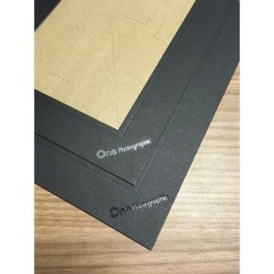 Black Luxury Strut Mounts