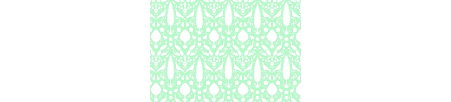 Ella Bella Enchanted