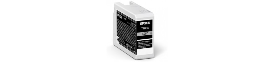 Singlepack Light Gray T46S9 UltraChrome Pro 10 ink 25ml P-700