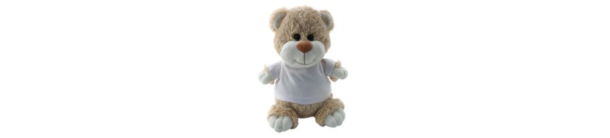 Teddy Bear with T Shirt
