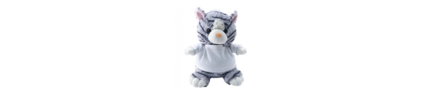 Cat with T Shirt (4 Pack)