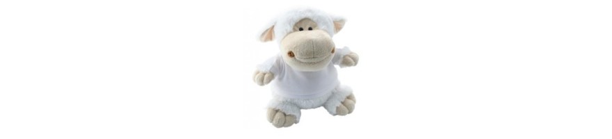 Sheep with T Shirt (4 Pack)