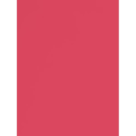 Watermelon Seamless Photography Background Paper / Photographic Backdrop 2.72m X 11m