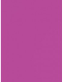 Grape Seamless Photography Background Paper / Photographic Backdrop 2.72m X 11m