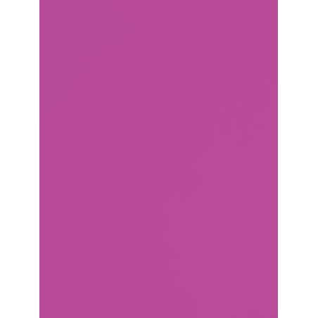 Grape Seamless Photography Background Paper / Photographic Backdrop 2.72m X 11m