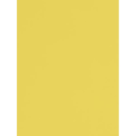 Sunshine Seamless Photography Background Paper / Photographic Backdrop 2.72m X 11m