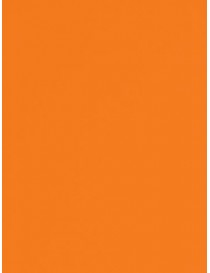 Orange Seamless Photography Background Paper / Photographic Backdrop 2.72m X 11m