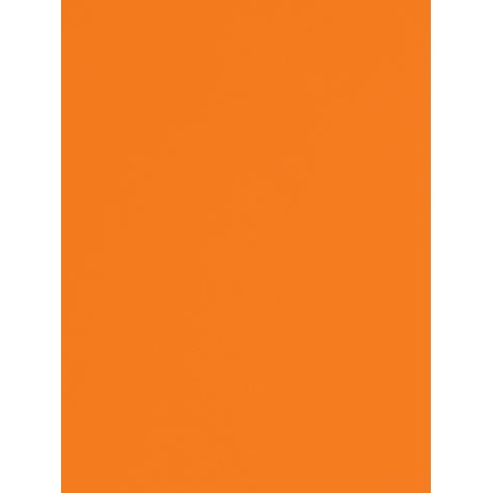 Orange Seamless Photography Background Paper / Photographic Backdrop 2.72m X 11m